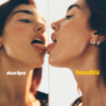 Dua Lipa: Houdini Album Leak 2024 Zip Download