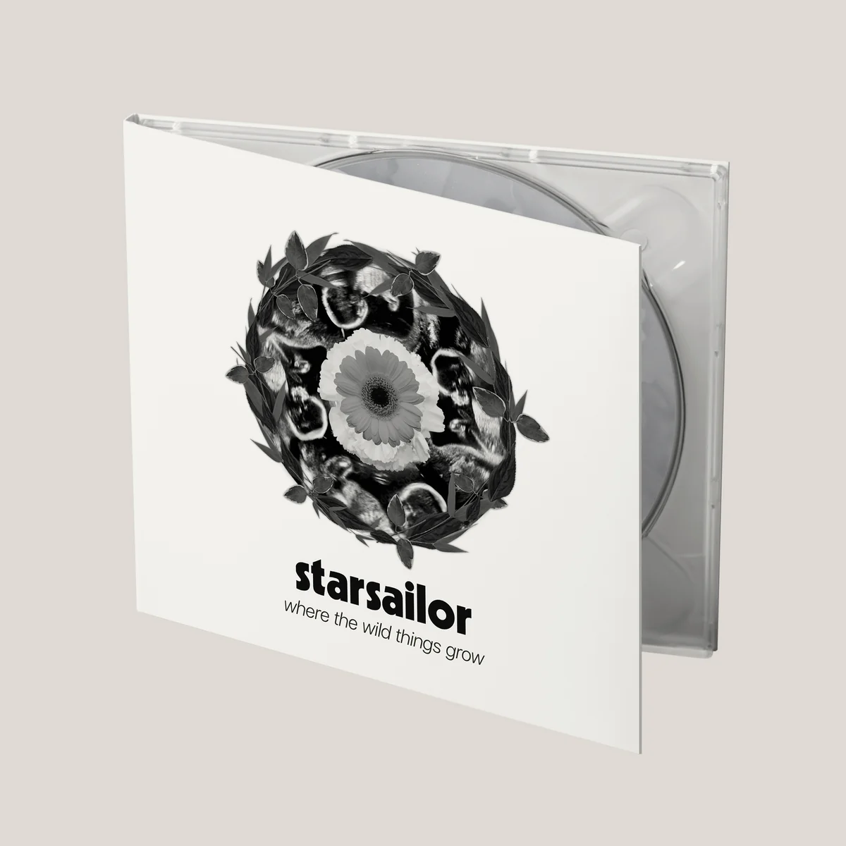 Starsailor: Where The Wild Things Grow Album Leak